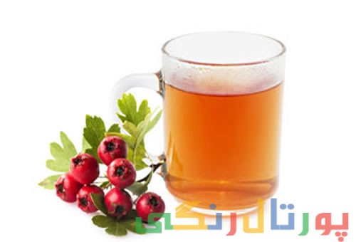 خواص چای زالزالک