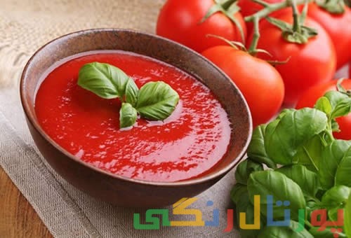 آموزش تهیه انواع سس مخصوص پیتزا