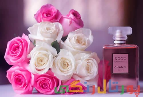 معروف ترین عطر و ادکلن های دنیای مد