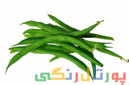 همه چیز درباره  لوبیا سبز