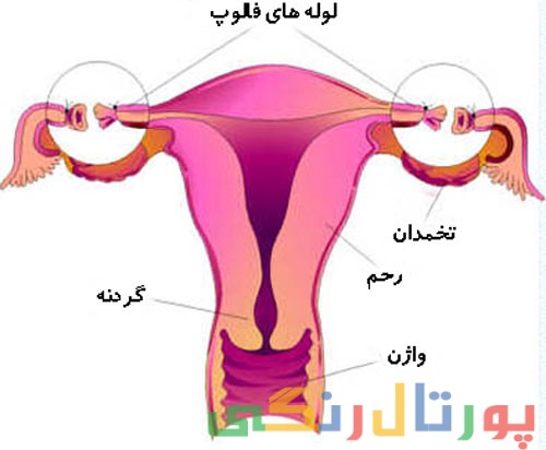 هیسترکتومی و لذت جنسی