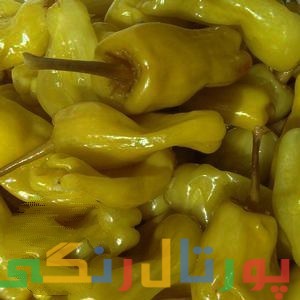 دستور تهیه ترشی بیور