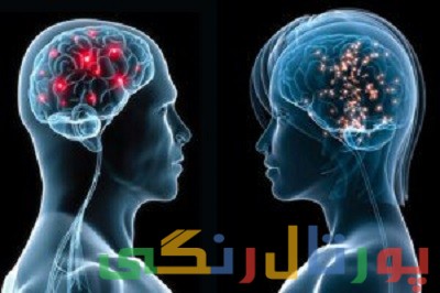 در مورد هوش جنسی چه می دانید؟