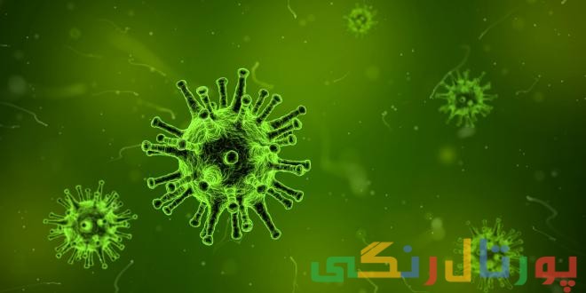 ویروس HPV چگونه باعث ابتلا به سرطان می شود؟